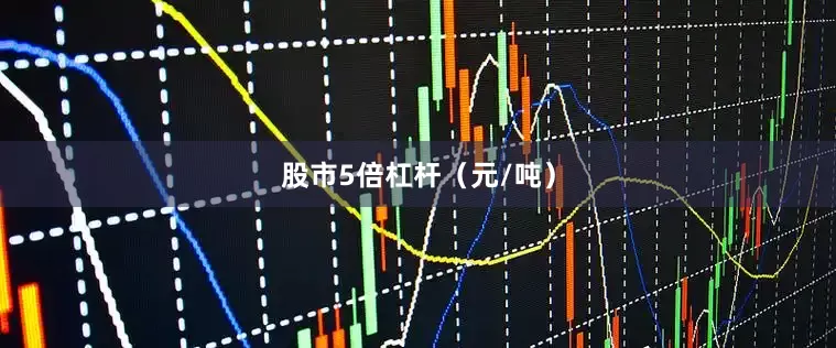 股市5倍杠杆（元/吨）